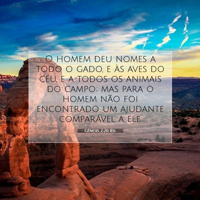 Picture 07 - Gênesis 2:20 BSL - O homem deu nomes a todo o gado, e às aves do - Bible Verse Picture