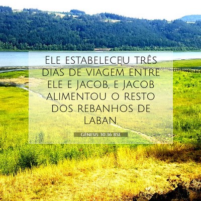 Picture 07 - Gênesis 30:36 BSL - Ele estabeleceu três dias de viagem entre ele e - Bible Verse Picture