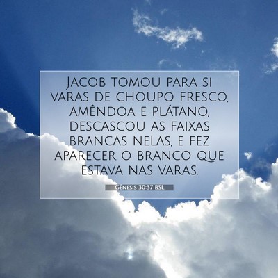 Picture 07 - Gênesis 30:37 BSL - Jacob tomou para si varas de choupo fresco, - Bible Verse Picture