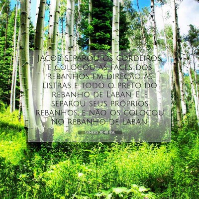 Picture 07 - Gênesis 30:40 BSL - Jacob separou os cordeiros, e colocou as faces - Bible Verse Picture