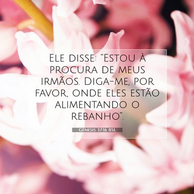 Picture 07 - Gênesis 37:16 BSL - Ele disse: “Estou à procura de meus irmãos. - Bible Verse Picture