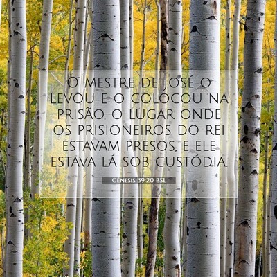 Picture 07 - Gênesis 39:20 BSL - O mestre de José o levou e o colocou na prisão, - Bible Verse Picture