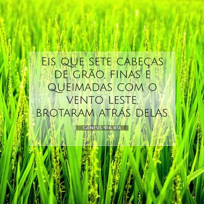 Picture 07 - Gênesis 41:6 BSL - Eis que sete cabeças de grão, finas e queimadas - Bible Verse Picture