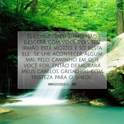 Picture 07 - Gênesis 42:38 BSL - Ele disse: “Meu filho não descerá com você, - Bible Verse Picture