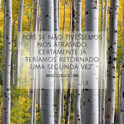 Picture 07 - Gênesis 43:10 BSL - pois se não tivéssemos nos atrasado, certamente - Bible Verse Picture