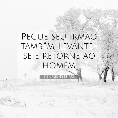 Picture 07 - Gênesis 43:13 BSL - Pegue seu irmão também, levante-se e retorne ao - Bible Verse Picture