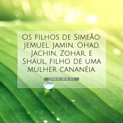 Picture 07 - Gênesis 46:10 BSL - Os filhos de Simeão: Jemuel, Jamin, Ohad, - Bible Verse Picture