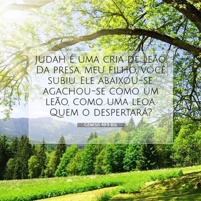 Picture 07 - Gênesis 49:9 BSL - Judah é uma cria de leão. Da presa, meu filho, - Bible Verse Picture