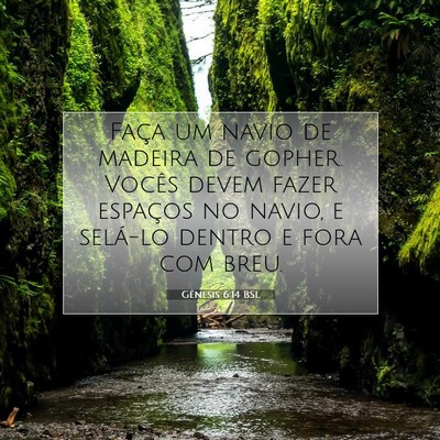 Picture 07 - Gênesis 6:14 BSL - Faça um navio de madeira de gopher. Vocês devem - Bible Verse Picture