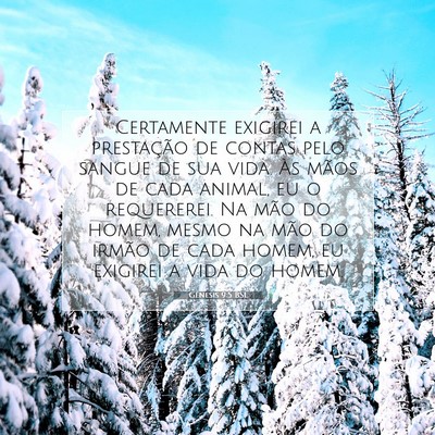 Picture 07 - Gênesis 9:5 BSL - Certamente exigirei a prestação de contas pelo - Bible Verse Picture