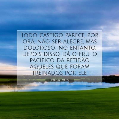 Picture 07 - Hebreus 12:11 BSL - Todo castigo parece, por ora, não ser alegre, - Bible Verse Picture