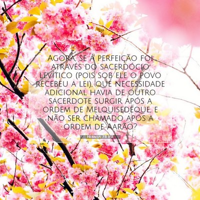 Picture 07 - Hebreus 7:11 BSL - Agora, se a perfeição foi através do - Bible Verse Picture