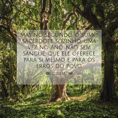 Picture 07 - Hebreus 9:7 BSL - mas no segundo o sumo sacerdote sozinho, uma vez - Bible Verse Picture
