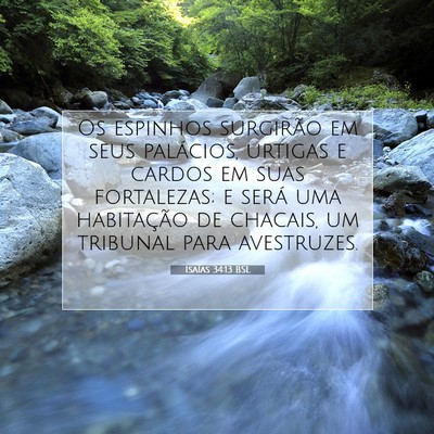 Picture 07 - Isaías 34:13 BSL - Os espinhos surgirão em seus palácios, urtigas - Bible Verse Picture