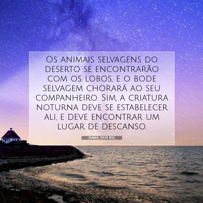 Picture 07 - Isaías 34:14 BSL - Os animais selvagens do deserto se encontrarão - Bible Verse Picture