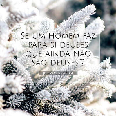 Picture 07 - Jeremias 16:20 BSL - Se um homem faz para si deuses que ainda não - Bible Verse Picture