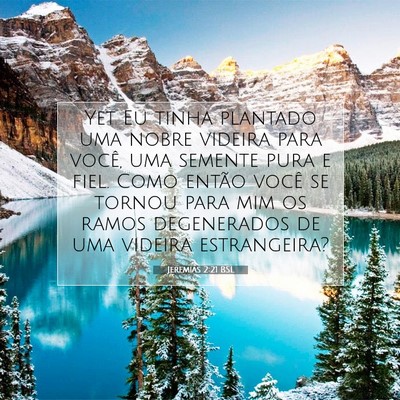 Picture 07 - Jeremias 2:21 BSL - Yet Eu tinha plantado uma nobre videira para - Bible Verse Picture