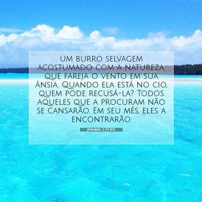Picture 07 - Jeremias 2:24 BSL - um burro selvagem acostumado com a natureza, que - Bible Verse Picture