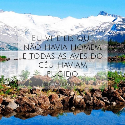 Picture 07 - Jeremias 4:25 BSL - Eu vi, e eis que não havia homem, e todas as - Bible Verse Picture