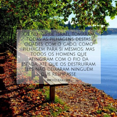 Picture 07 - Joshua 11:14 BSL - Os filhos de Israel tomaram todas as pilhagens - Bible Verse Picture