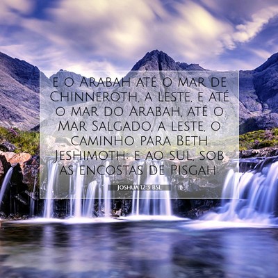 Picture 07 - Joshua 12:3 BSL - e o Arabah até o mar de Chinneroth, a leste, e - Bible Verse Picture