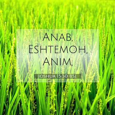 Picture 07 - Joshua 15:50 BSL - Anab, Eshtemoh, - Bible Verse Picture