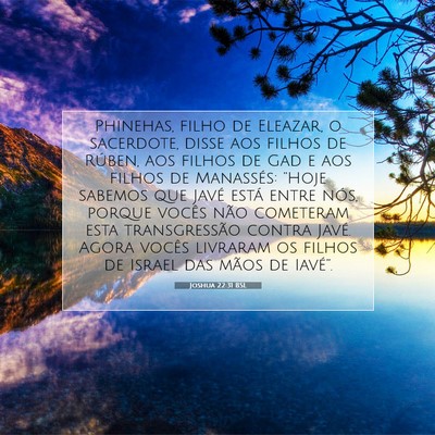 Picture 07 - Joshua 22:31 BSL - Phinehas, filho de Eleazar, o sacerdote, disse - Bible Verse Picture