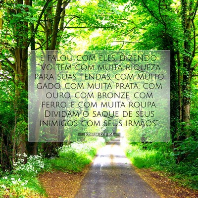 Picture 07 - Joshua 22:8 BSL - e falou com eles, dizendo: “Voltem com muita - Bible Verse Picture