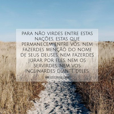 Picture 07 - Joshua 23:7 BSL - para não virdes entre estas nações, estas que - Bible Verse Picture