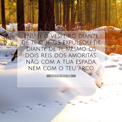 Picture 07 - Joshua 24:12 BSL - Enviei o vespeiro diante de ti, que os expulsou - Bible Verse Picture