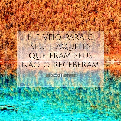 Picture 07 - João 1:11 BSL - Ele veio para o seu, e aqueles que eram seus não - Bible Verse Picture