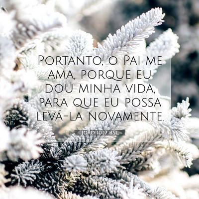 Picture 07 - João 10:17 BSL - Portanto, o Pai me ama, porque eu dou minha vida, - Bible Verse Picture
