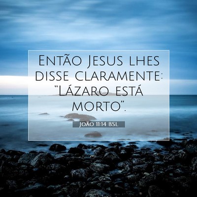Picture 07 - João 11:14 BSL - Então Jesus lhes disse claramente: “Lázaro - Bible Verse Picture
