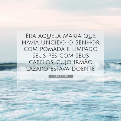 Picture 07 - João 11:2 BSL - Era aquela Maria que havia ungido o Senhor com - Bible Verse Picture