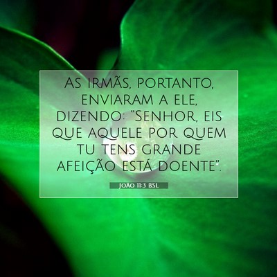 Picture 07 - João 11:3 BSL - As irmãs, portanto, enviaram a ele, dizendo: - Bible Verse Picture