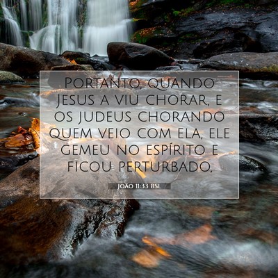 Picture 07 - João 11:33 BSL - Portanto, quando Jesus a viu chorar, e os judeus - Bible Verse Picture