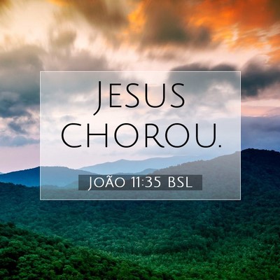 Picture 07 - João 11:35 BSL - Jesus - Bible Verse Picture