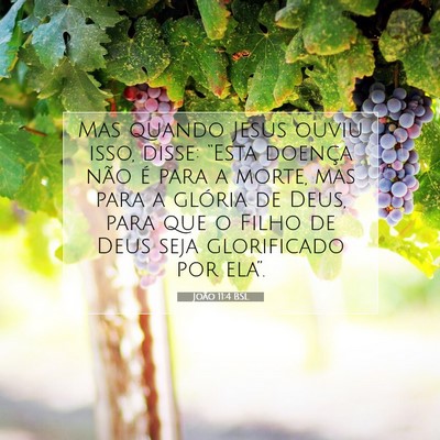 Picture 07 - João 11:4 BSL - Mas quando Jesus ouviu isso, disse: “Esta - Bible Verse Picture