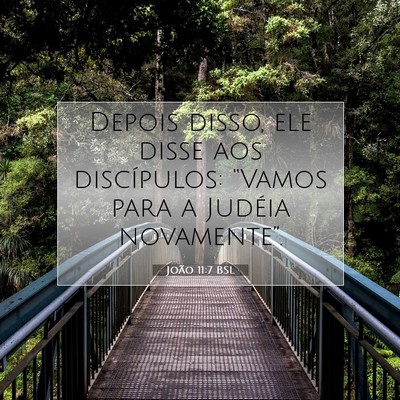 Picture 07 - João 11:7 BSL - Depois disso, ele disse aos discípulos: “Vamos - Bible Verse Picture