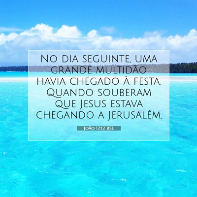 Picture 07 - João 12:12 BSL - No dia seguinte, uma grande multidão havia - Bible Verse Picture