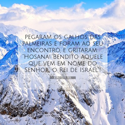 Picture 07 - João 12:13 BSL - pegaram os galhos das palmeiras e foram ao seu - Bible Verse Picture