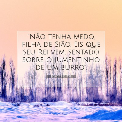 Picture 07 - João 12:15 BSL - “Não tenha medo, filha de Sião. Eis que seu - Bible Verse Picture