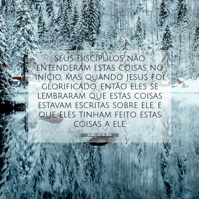 Picture 07 - João 12:16 BSL - Seus discípulos não entenderam estas coisas no - Bible Verse Picture