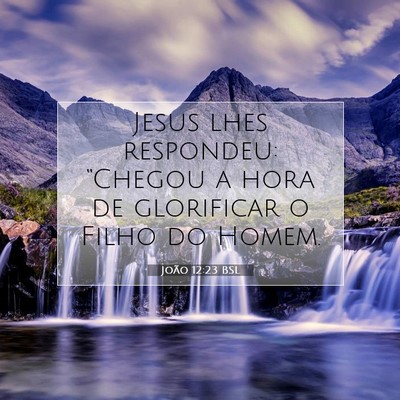 Picture 07 - João 12:23 BSL - Jesus lhes respondeu: “Chegou a hora de - Bible Verse Picture