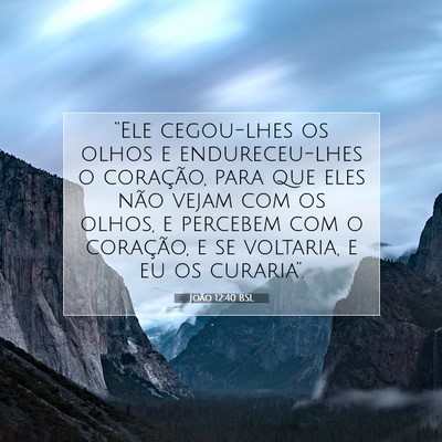 Picture 07 - João 12:40 BSL - “Ele cegou-lhes os olhos e endureceu-lhes o - Bible Verse Picture