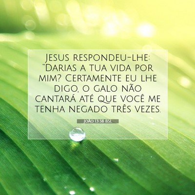 Picture 07 - João 13:38 BSL - Jesus respondeu-lhe: “Darias a tua vida por - Bible Verse Picture