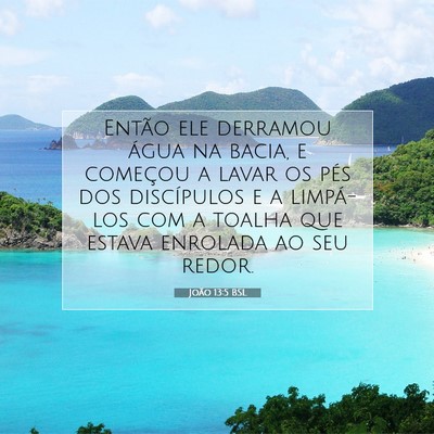 Picture 07 - João 13:5 BSL - Então ele derramou água na bacia, e começou a - Bible Verse Picture