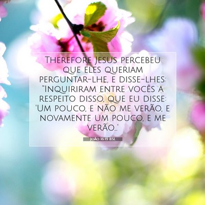 Picture 07 - João 16:19 BSL - Therefore Jesus percebeu que eles queriam - Bible Verse Picture