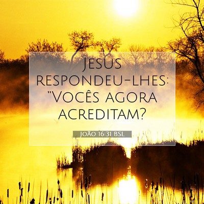 Picture 07 - João 16:31 BSL - Jesus respondeu-lhes: “Vocês agora - Bible Verse Picture