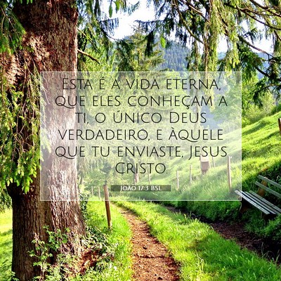 Picture 07 - João 17:3 BSL - Esta é a vida eterna, que eles conheçam a ti, o - Bible Verse Picture